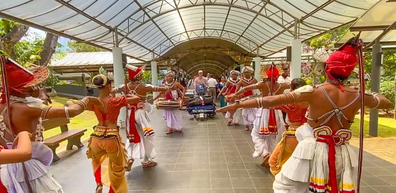 netherlands-team-to-the-island-to-participate-in-the-t20-world-cup