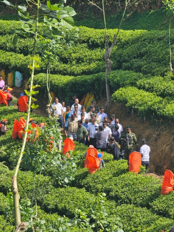 a-high-reception-for-the-president-who-went-to-see-the-workers-of-the-plantations-who-have-increased-their-wages