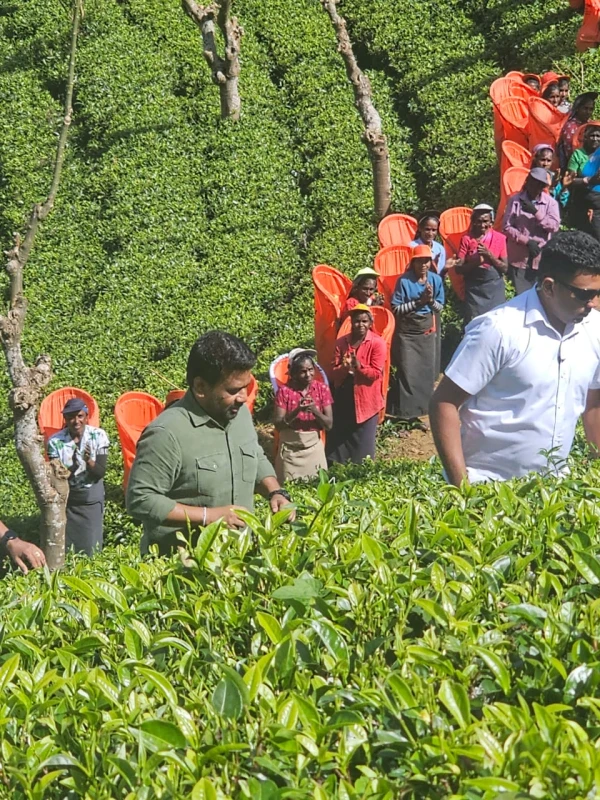 a-high-reception-for-the-president-who-went-to-see-the-workers-of-the-plantations-who-have-increased-their-wages