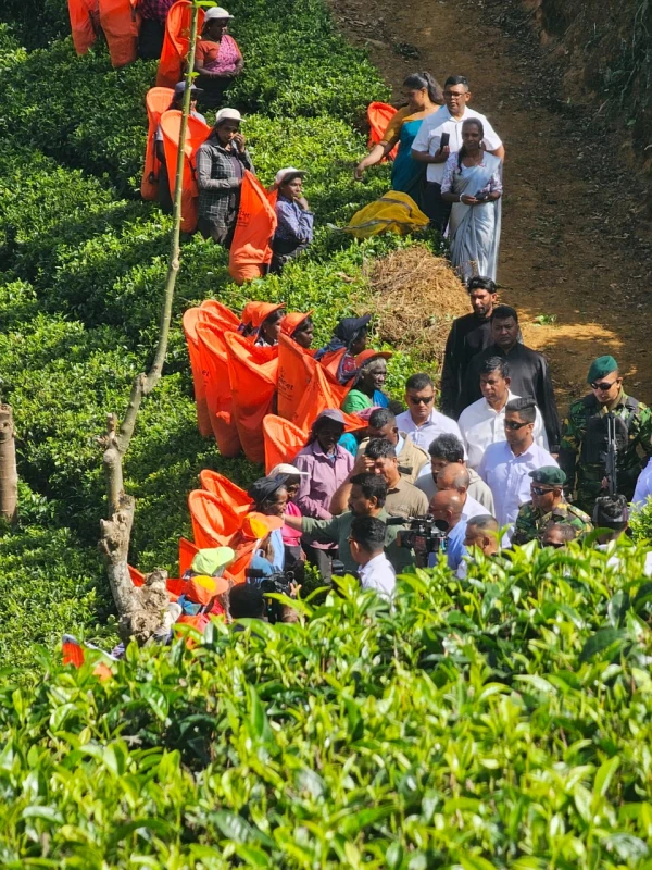 a-high-reception-for-the-president-who-went-to-see-the-workers-of-the-plantations-who-have-increased-their-wages