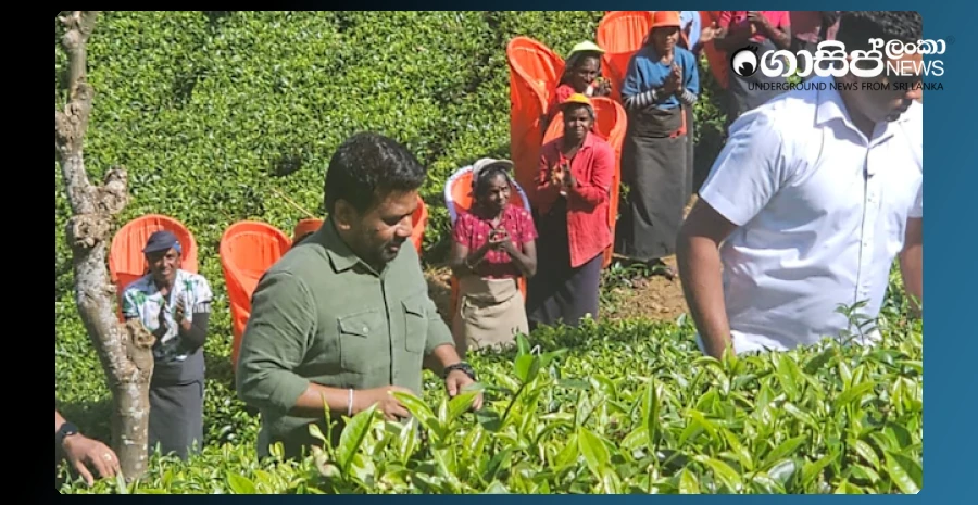 a-high-reception-for-the-president-who-went-to-see-the-workers-of-the-plantations-who-have-increased-their-wages