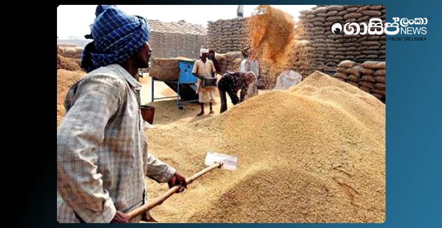 paddy-marketing-board-is-active-again---this-time-allocating-1000-crores-to-buy-paddy-from-farmers-in-the-high-season