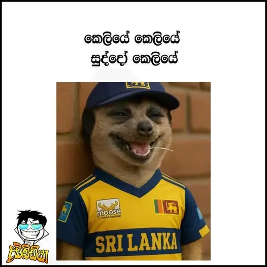 gossiplanka image 12