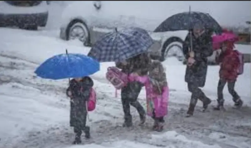 gossiplanka image 17