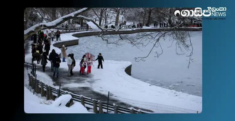 america-faced-the-worst-snow-storm-in-a-decade-photos