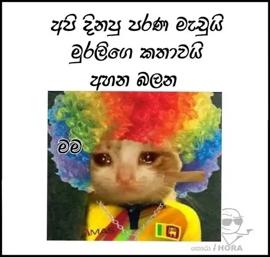 gossiplanka image 16