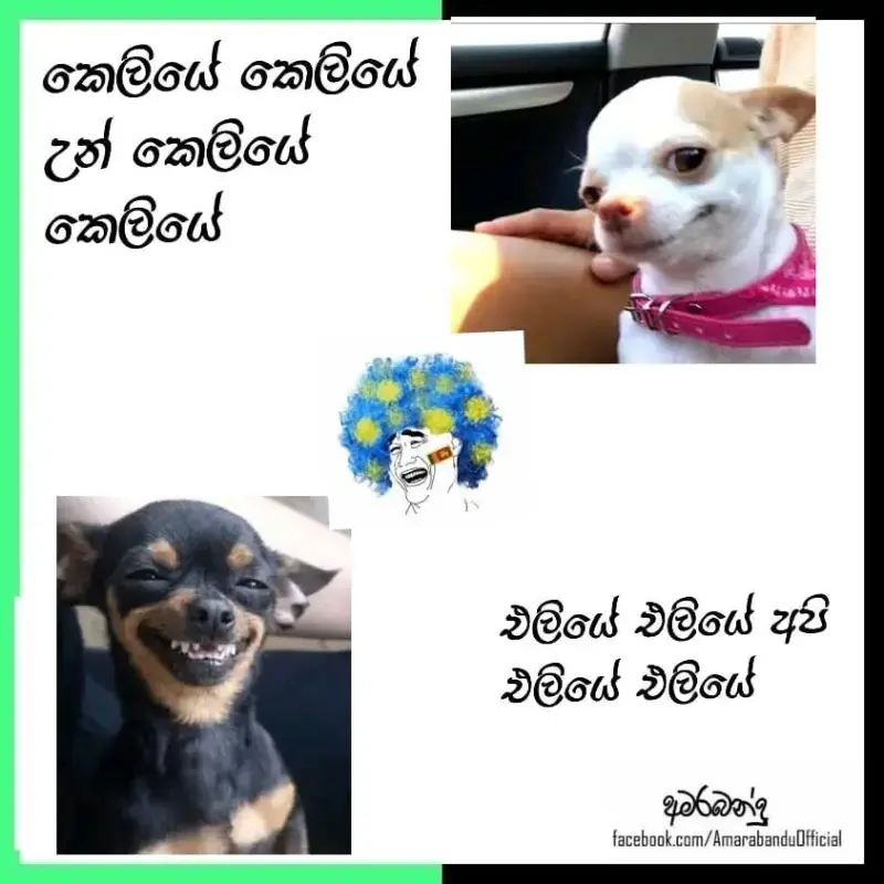 gossiplanka image 21