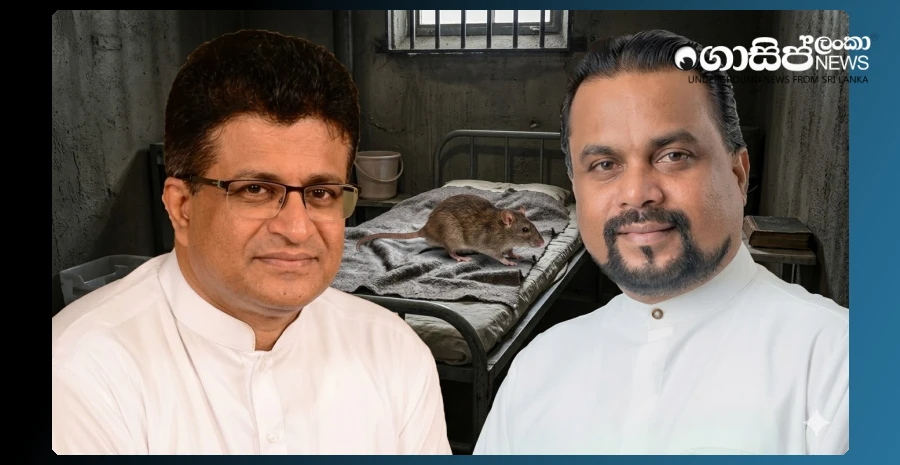 questions-for-vimal-and-gammanpila-about-the-rats-in-salehs-prison