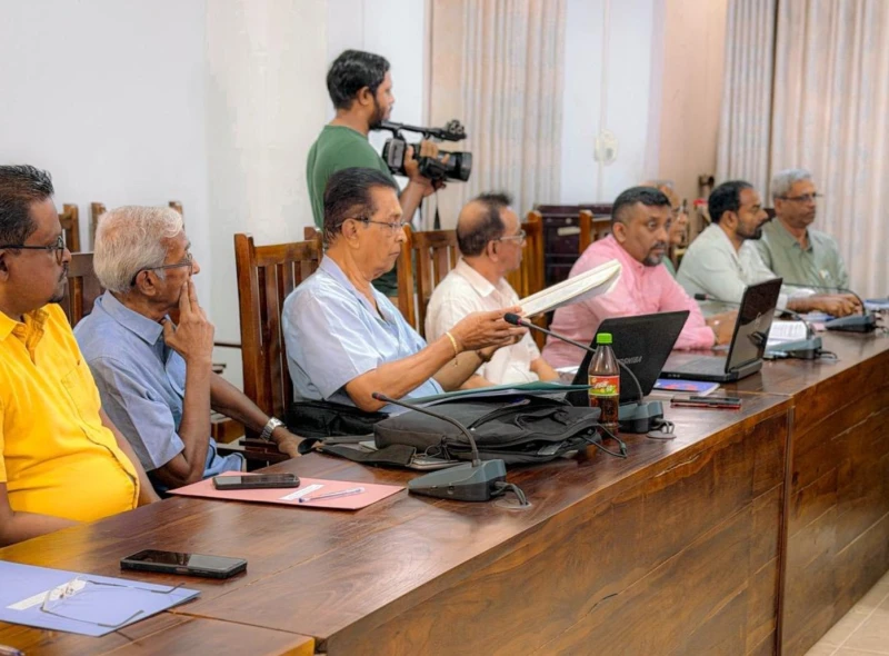 a-happy-new-year-card-from-dilits-party