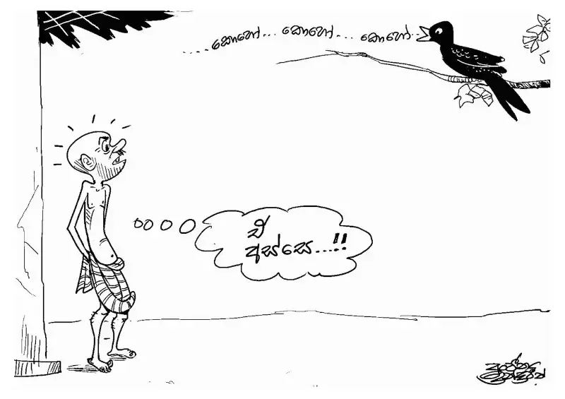 gossiplanka image 11