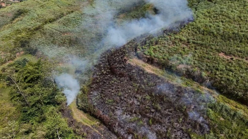 a-wildfire-in-hatton-reserve