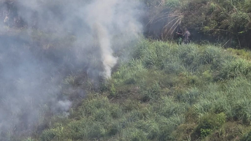 a-wildfire-in-hatton-reserve