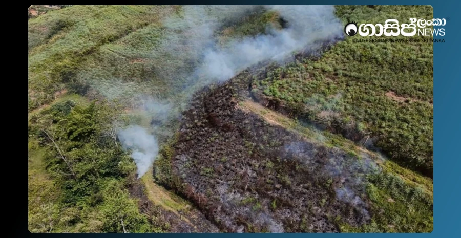 a-wildfire-in-hatton-reserve