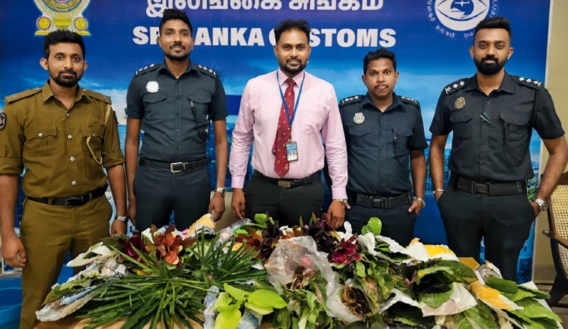 the-suspect-who-brought-a-lot-of-ornamental-plants-from-thailand-was-arrested