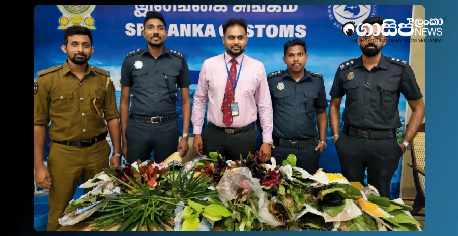 the-suspect-who-brought-a-lot-of-ornamental-plants-from-thailand-was-arrested