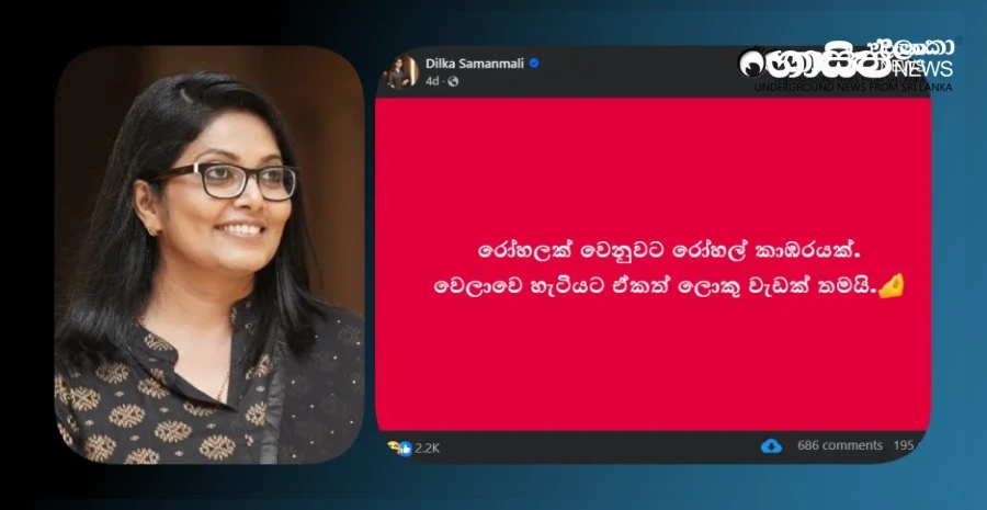dilka-samanmalis-comments-about-the-presidents-sarcastic-comment