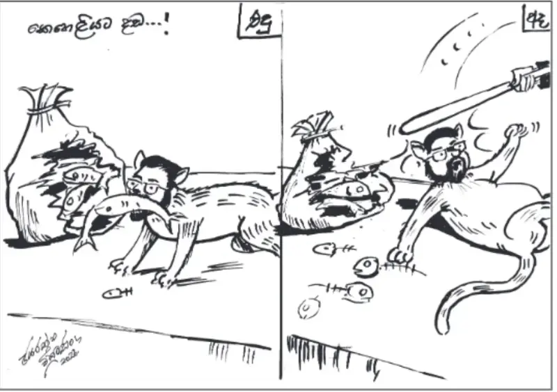 gossiplanka image 18