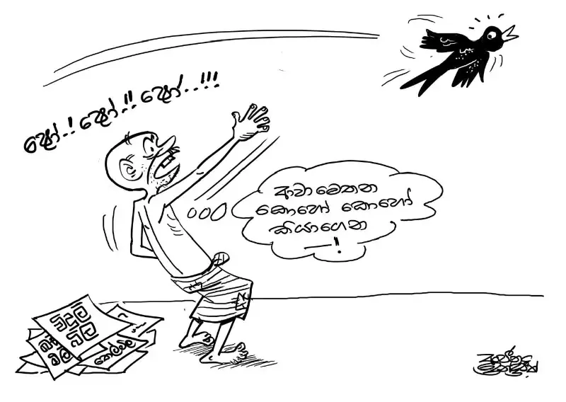 gossiplanka image 17