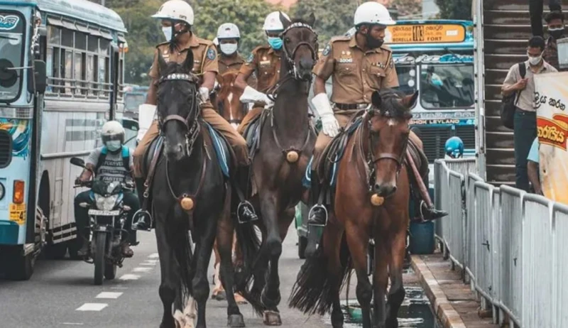 due-to-the-heat-the-colombo-police-horses-are-transferred-to-the-city