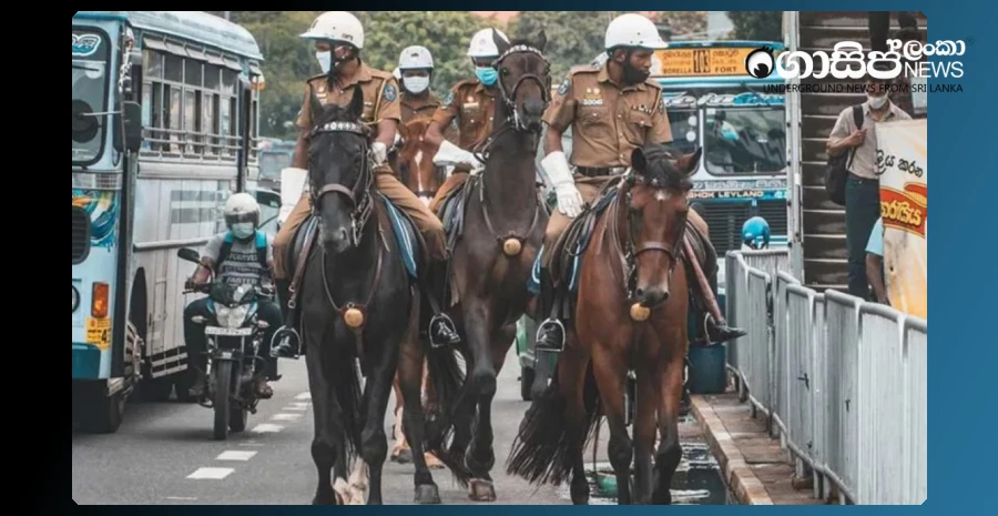 due-to-the-heat-the-colombo-police-horses-are-transferred-to-the-city