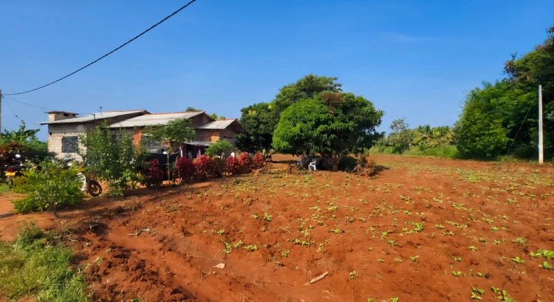 the-daughter-who-came-in-the-rain-after-giving-two-umbrellas-to-the-parents-in-hene-was-killed-by-lightning