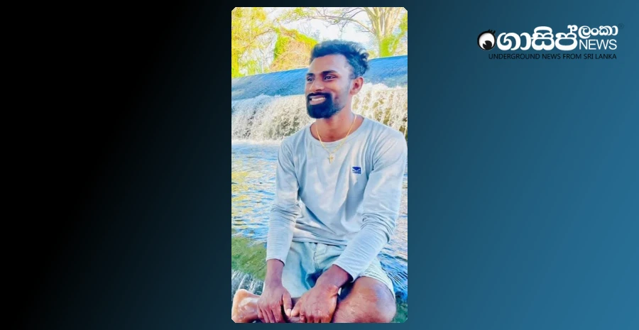 a-wildlife-worker-was-killed-by-a-wild-elephant-in-the-forest