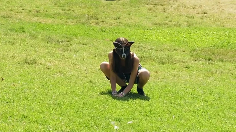 controversy-over-argentinas-therian-wave