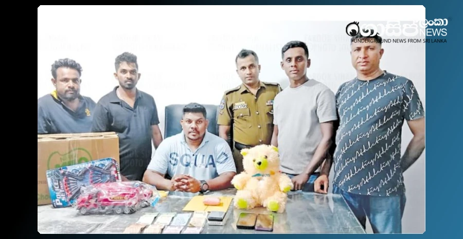 ice-on-the-neck-of-the-playing-turtle