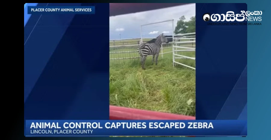 strange-visitor-to-lincoln-america