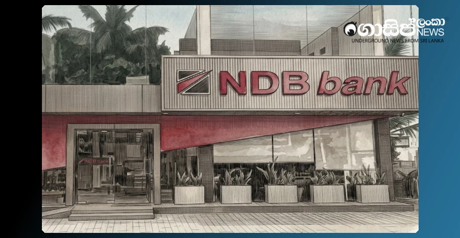 forensic-audit-of-ndb-internal-fraud-to-an-international-agency