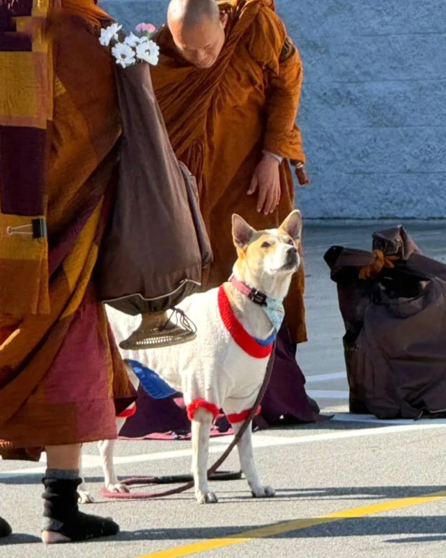 the-peace-march-will-start-today-with-aloka-carrying-the-message-of-peace