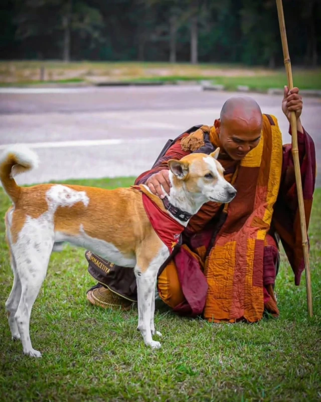 the-peace-march-will-start-today-with-aloka-carrying-the-message-of-peace