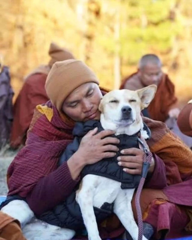 the-peace-march-will-start-today-with-aloka-carrying-the-message-of-peace