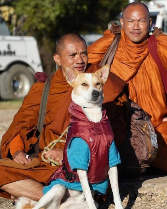 the-peace-march-will-start-today-with-aloka-carrying-the-message-of-peace