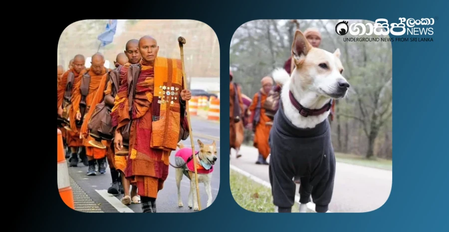 the-peace-march-will-start-today-with-aloka-carrying-the-message-of-peace