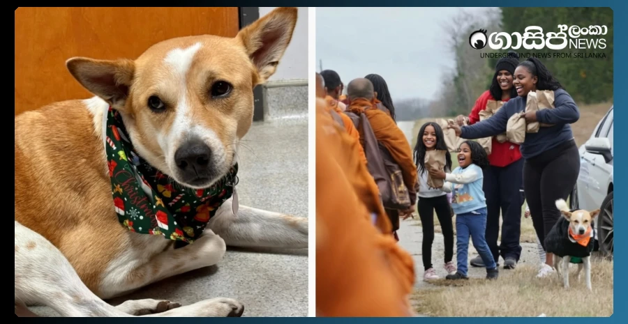 people-taking-selfies-with-dogs-disrupt-the-peace-march