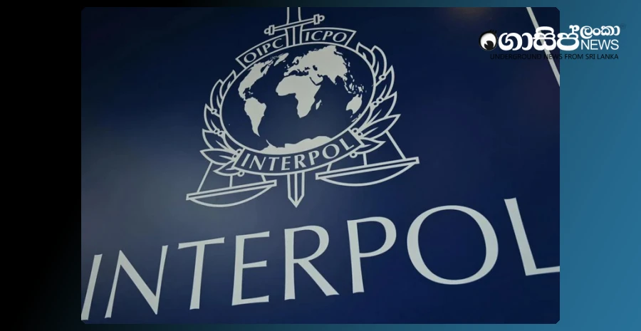search-for-hacker-incidents-with-interpol-support