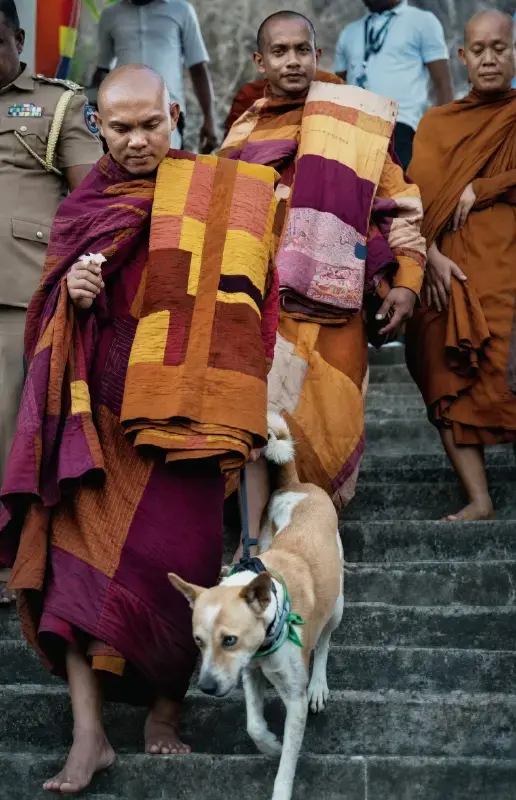 gossiplanka image 10