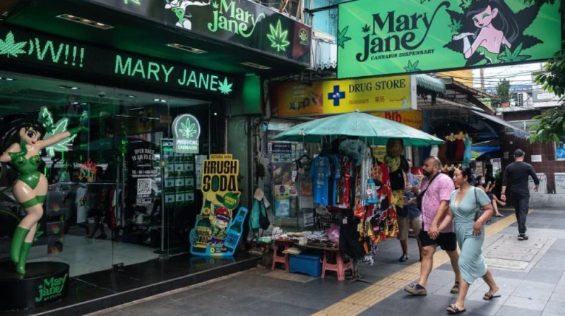 thailand-which-lifted-the-ban-on-cannabis-to-develop-tourism-is-now-trapped-by-the-myanmar-drug-network-despite-tightening-the-rules