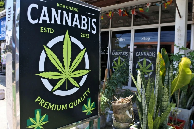 thailand-which-lifted-the-ban-on-cannabis-to-develop-tourism-is-now-trapped-by-the-myanmar-drug-network-despite-tightening-the-rules