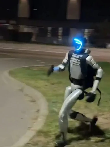 how-poland-used-robotics-to-exterminate-wild-boars