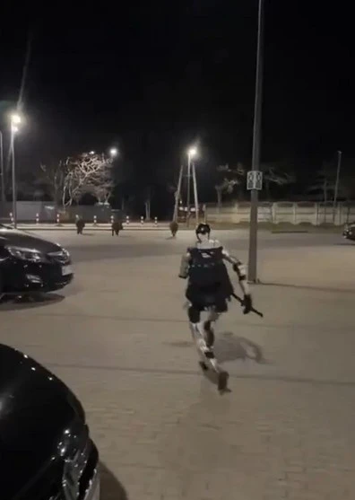 how-poland-used-robotics-to-exterminate-wild-boars