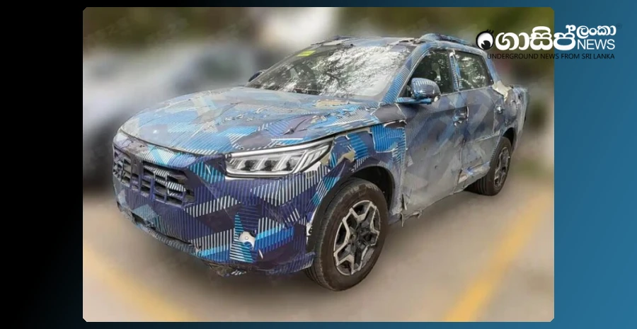 the-name-of-the-worlds-fastest-shark-mako-for-the-latest-byd-pickup