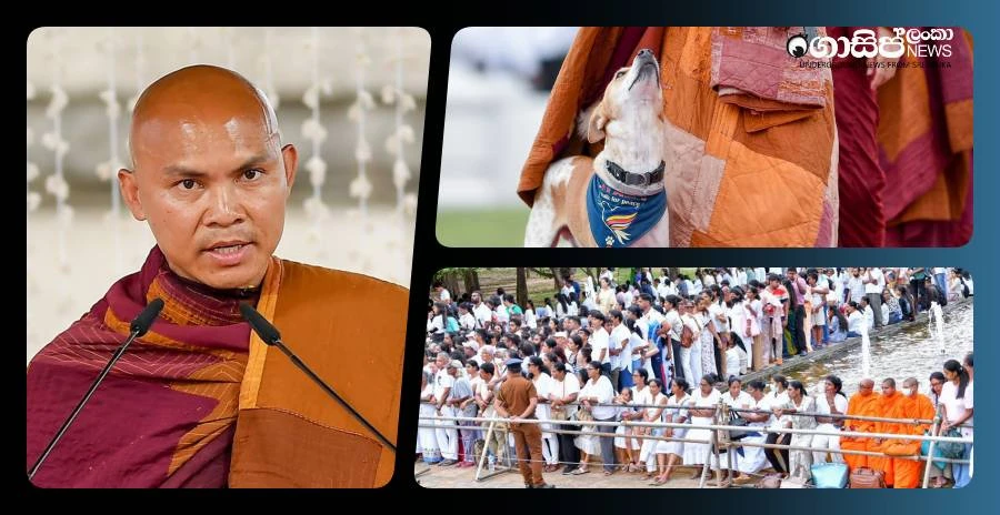 dependence-on-ai-in-current-generation-is-a-serious-disaster---panjakara-thero