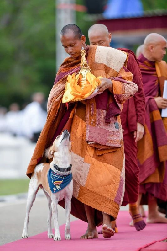 dependence-on-ai-in-current-generation-is-a-serious-disaster---panjakara-thero