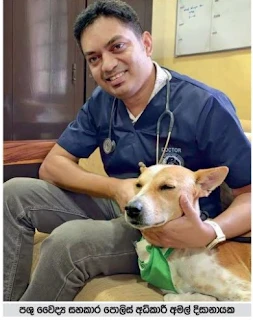 alokas-wonderful-qualities-surprised-even-the-veterinarians