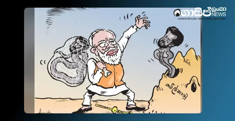 a-new-snake-joins-modis-snake-dance-wednesday-cartoon