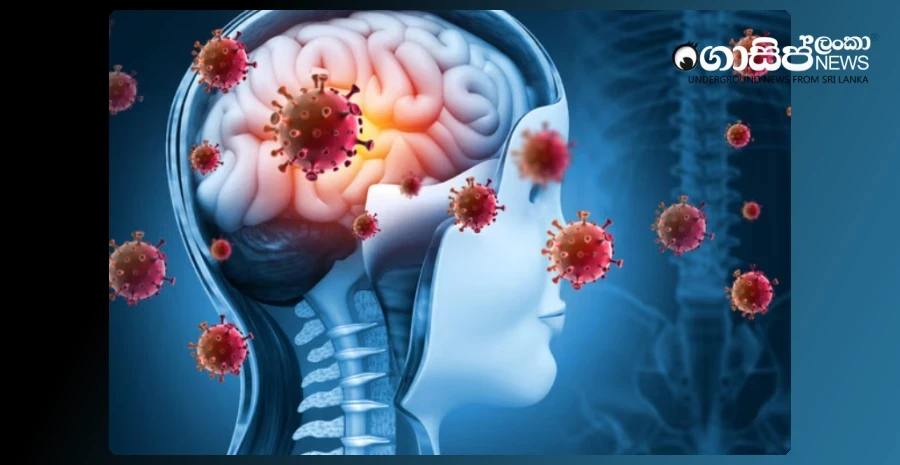 festivals-canceled-due-to-outbreak-of-matara-meningitis