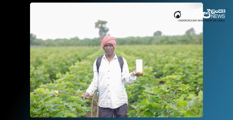 fertilizer-distribution-permission-to-private-sector-also