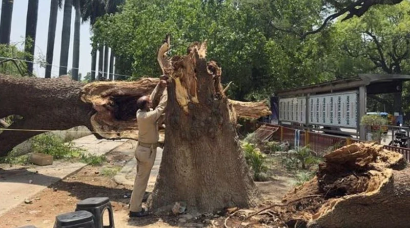 111-people-died-in-northern-india-due-to-extremely-severe-storm-conditions